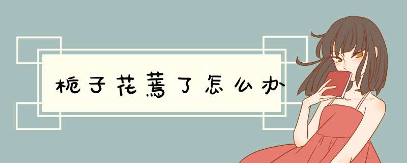 栀子花蔫了怎么办