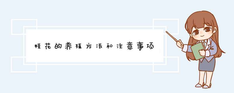 桂花的养殖方法和注意事项