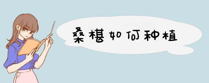 桑椹如何种植