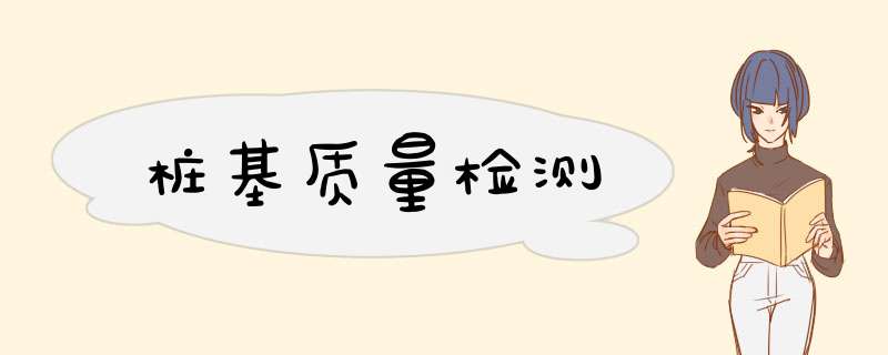 桩基质量检测