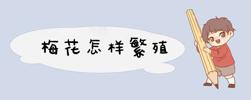 梅花怎样繁殖