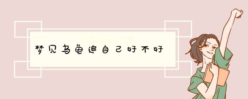 梦见乌龟追自己好不好