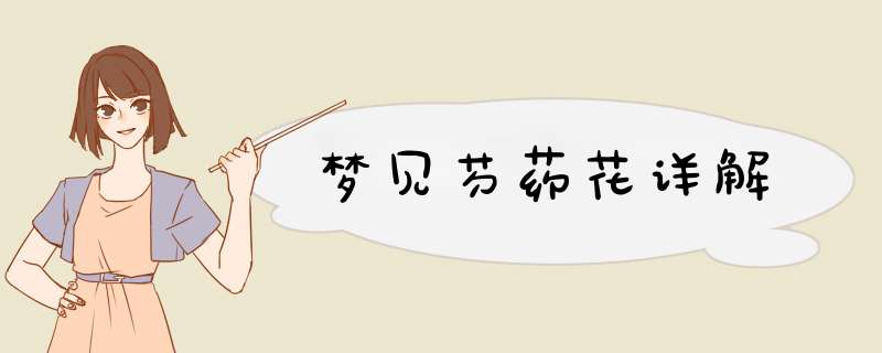 梦见芍药花详解