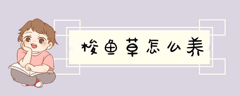 梭鱼草怎么养