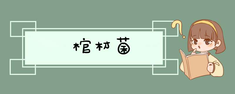 棺材菌