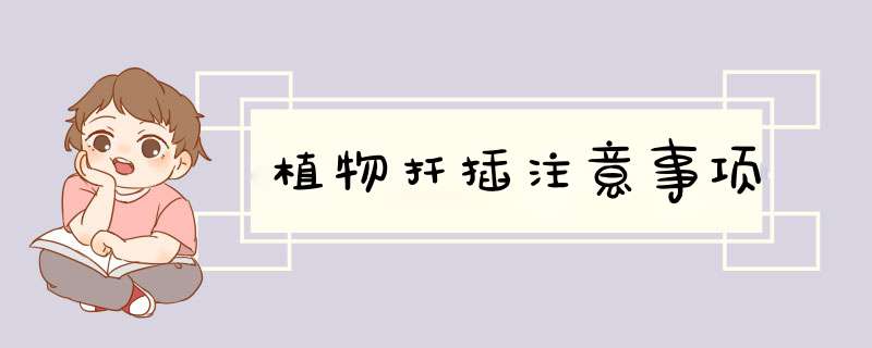 植物扦插注意事项