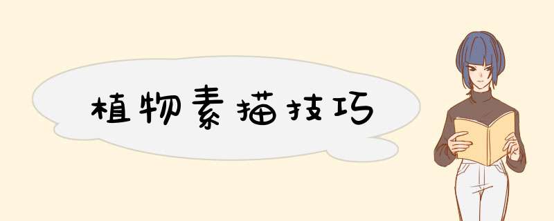 植物素描技巧