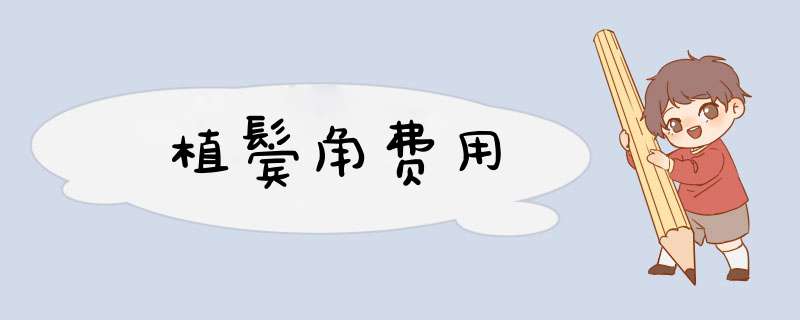 植鬓角费用