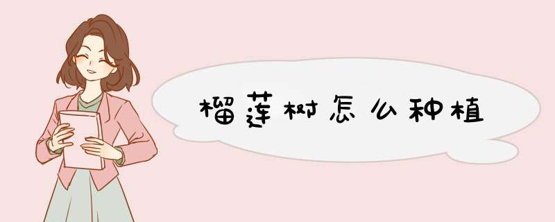 榴莲树怎么种植