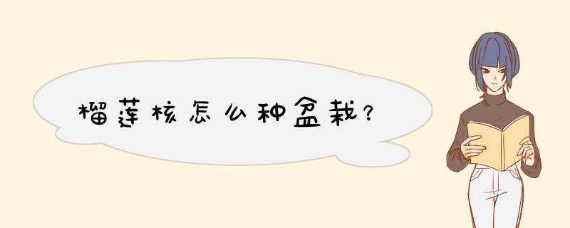 榴莲核怎么种盆栽？