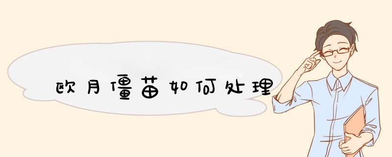 欧月僵苗如何处理