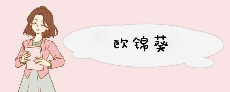 欧锦葵