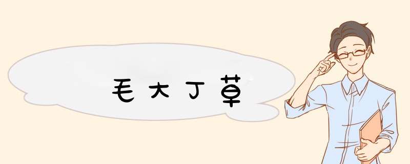 毛大丁草