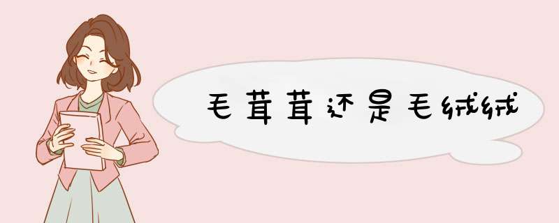 毛茸茸还是毛绒绒