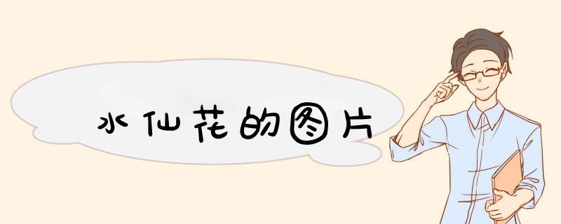 水仙花的图片