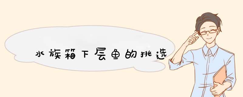 水族箱下层鱼的挑选