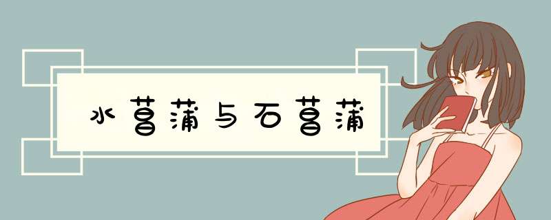 水菖蒲与石菖蒲