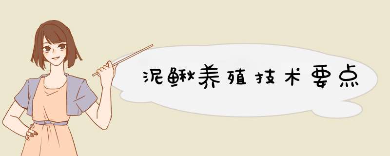泥鳅养殖技术要点