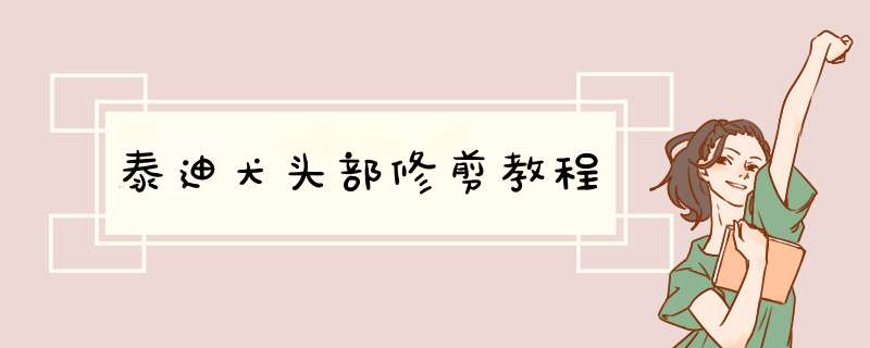 泰迪犬头部修剪教程