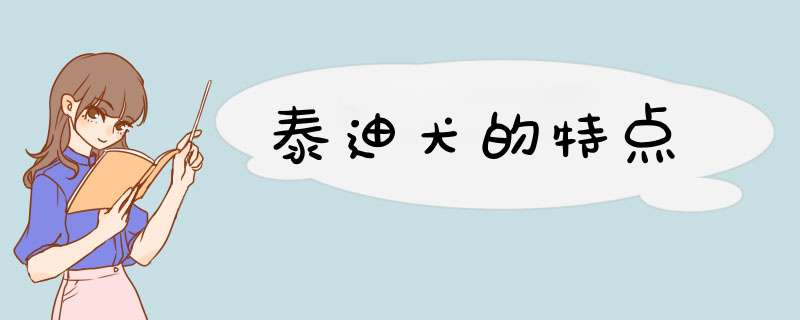 泰迪犬的特点