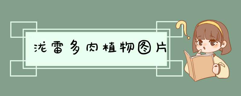 泷雷多肉植物图片
