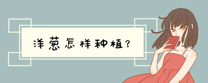 洋葱怎样种植？