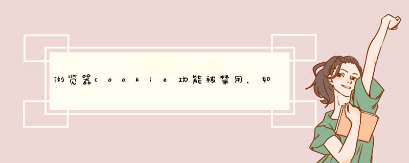 浏览器cookie功能被禁用，如何启用此功能