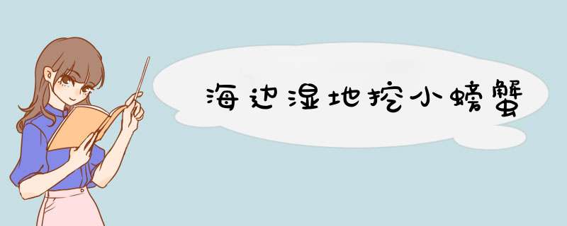海边湿地挖小螃蟹