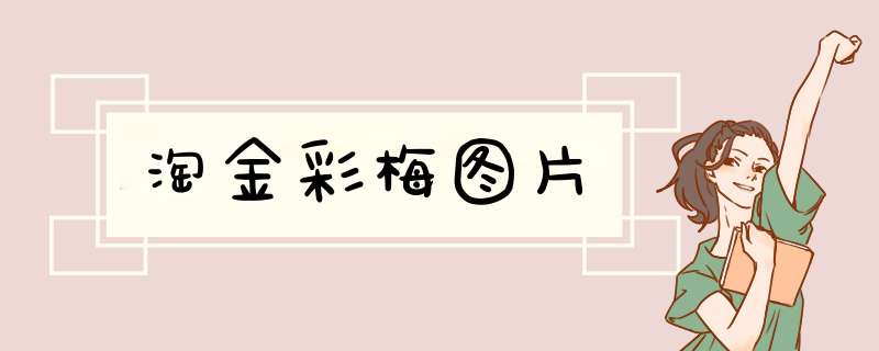 淘金彩梅图片