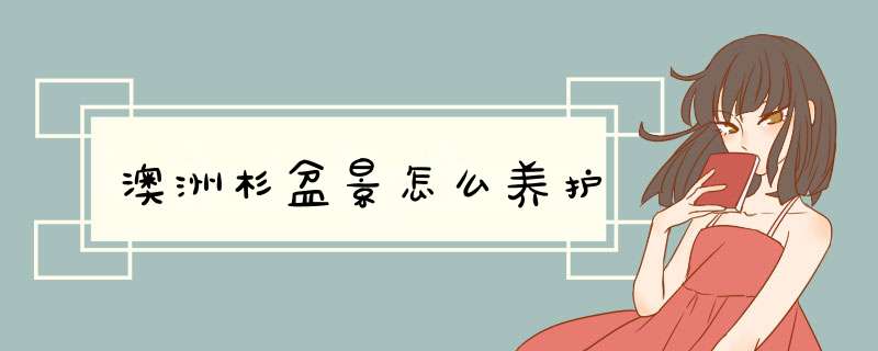 澳洲杉盆景怎么养护