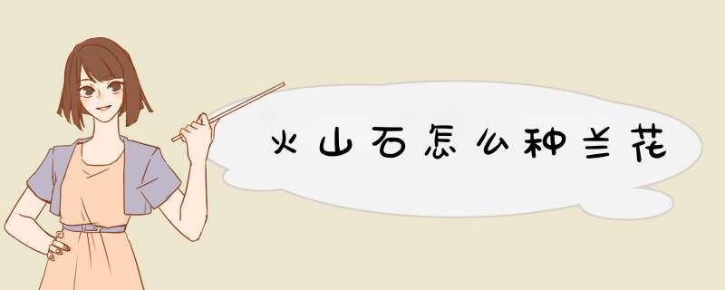 火山石怎么种兰花