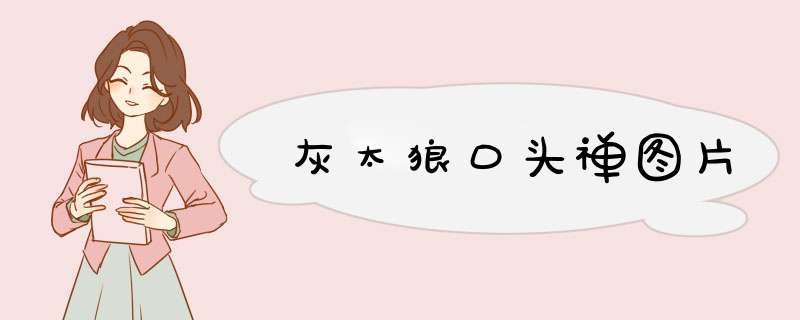 灰太狼口头禅图片
