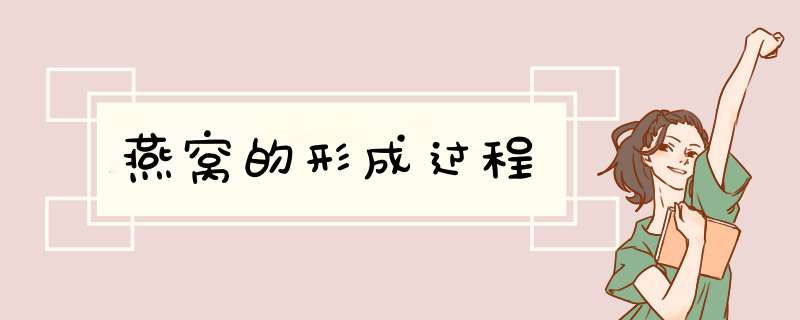 燕窝的形成过程