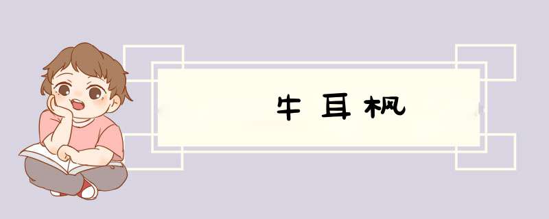 牛耳枫