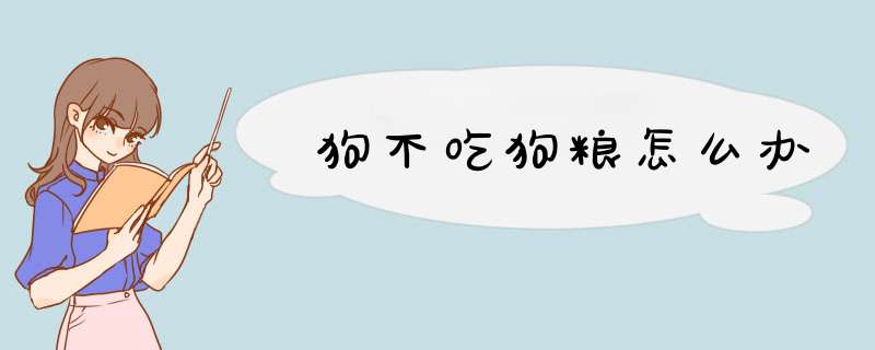 狗不吃狗粮怎么办