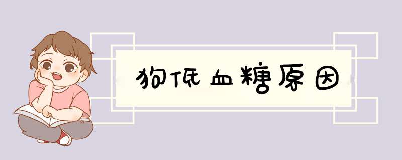 狗低血糖原因