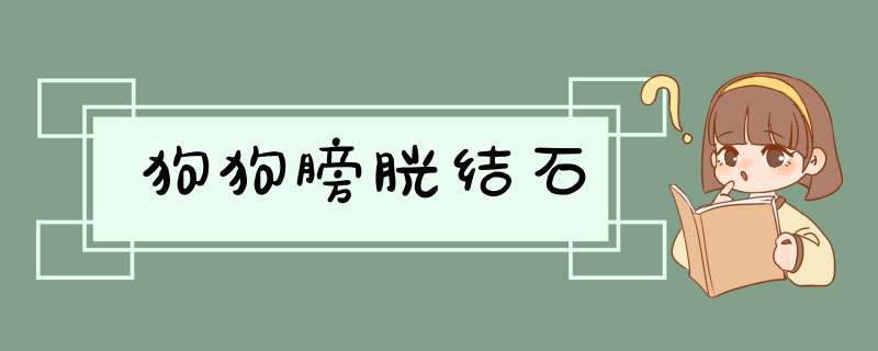狗狗膀胱结石