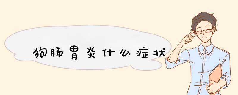 狗肠胃炎什么症状