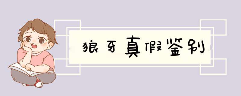 狼牙真假鉴别