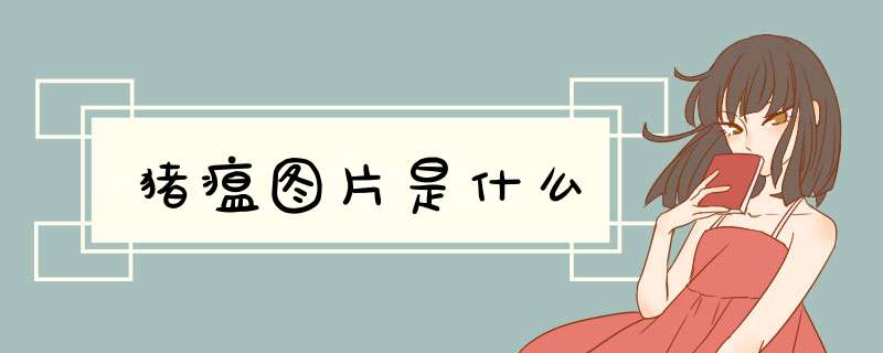 猪瘟图片是什么