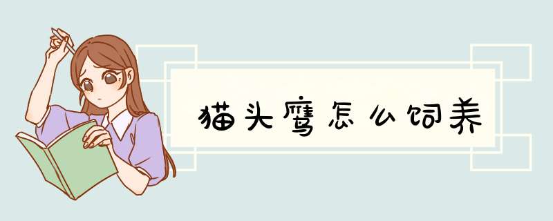 猫头鹰怎么饲养