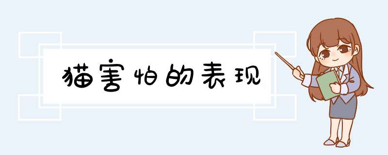猫害怕的表现