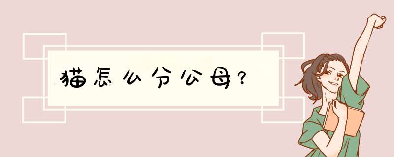 猫怎么分公母？