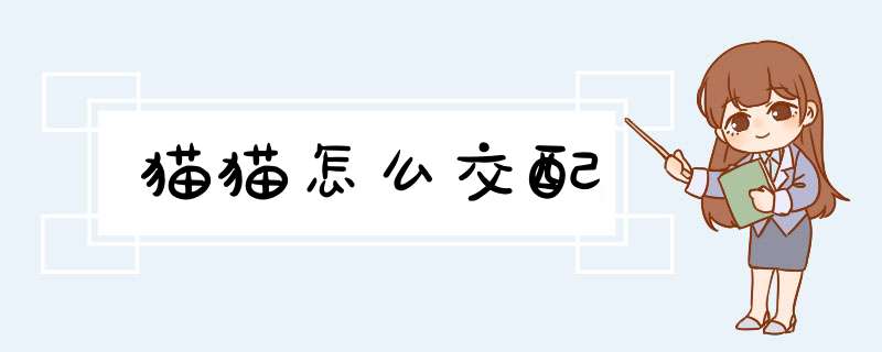 猫猫怎么交配