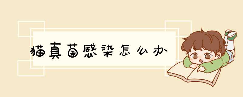 猫真菌感染怎么办