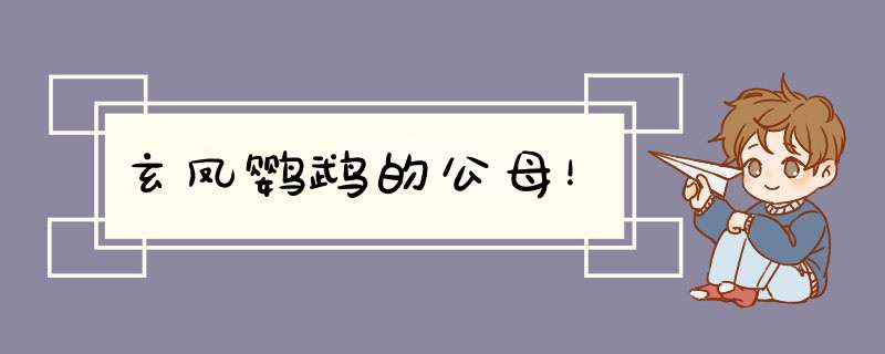 玄凤鹦鹉的公母！