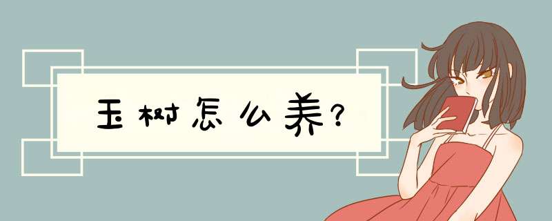 玉树怎么养？