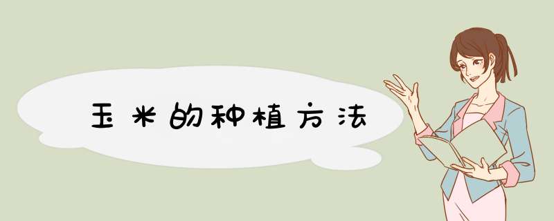 玉米的种植方法