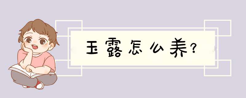 玉露怎么养？