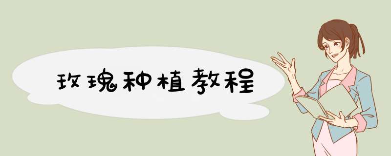 玫瑰种植教程